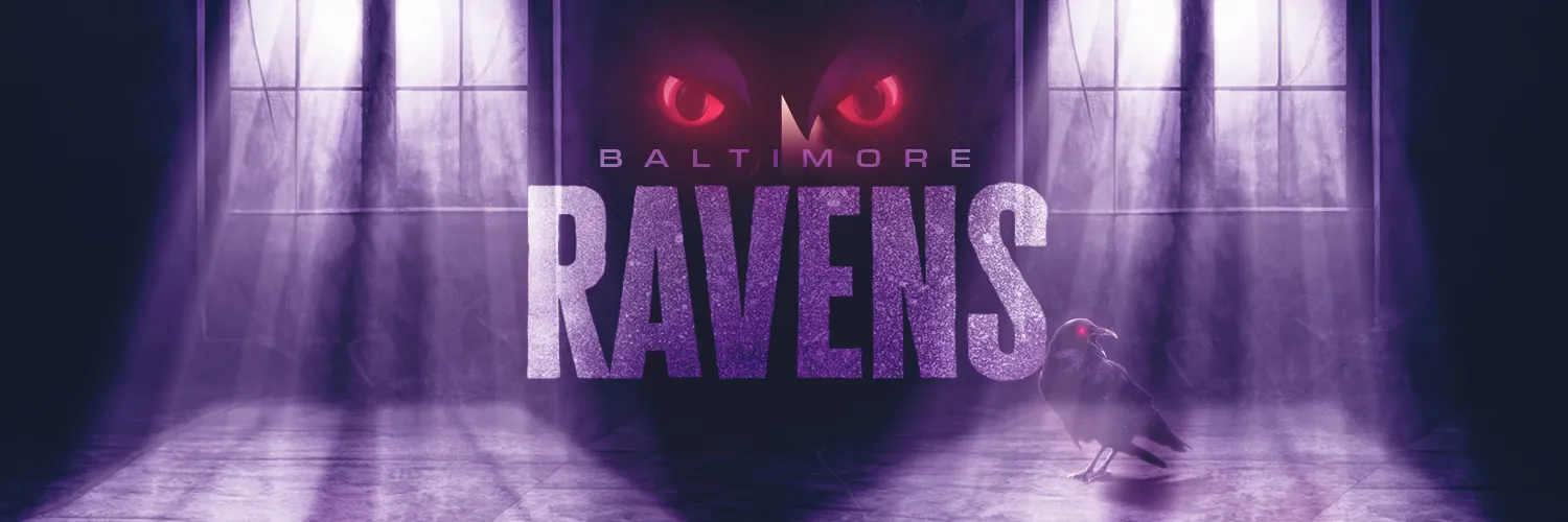 Baltimore Ravens banner